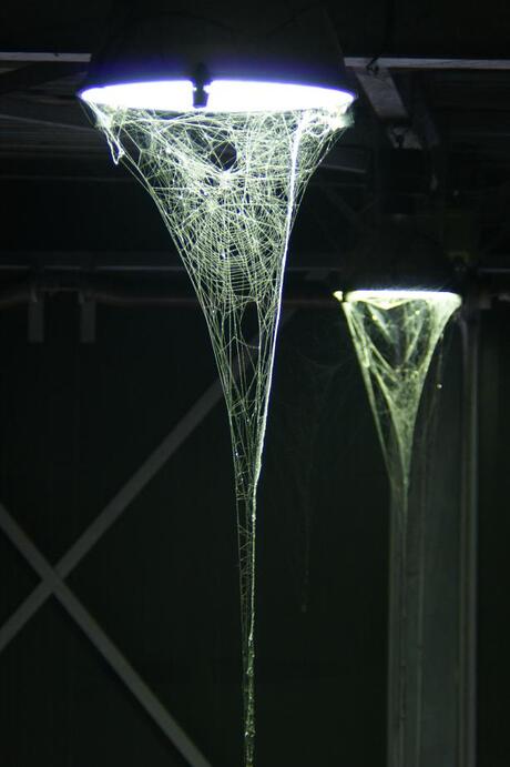 spinnenweb aan een lamp