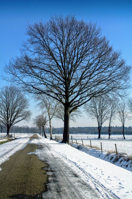 Limburgs genieten van de winter