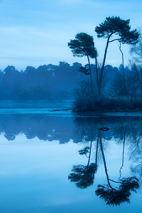 Blauwe uurtje