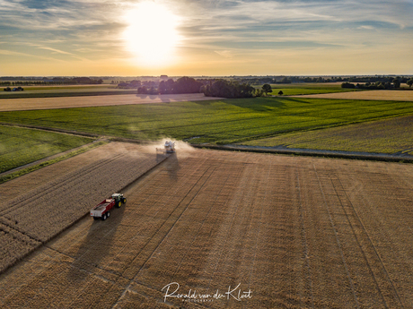 Nederlandse boeren