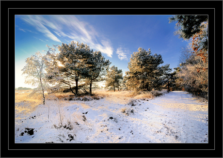 winterlandschap