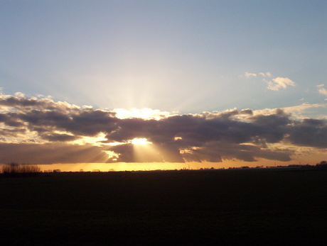 Sunny clouds