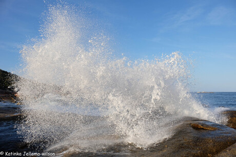 BLow hole