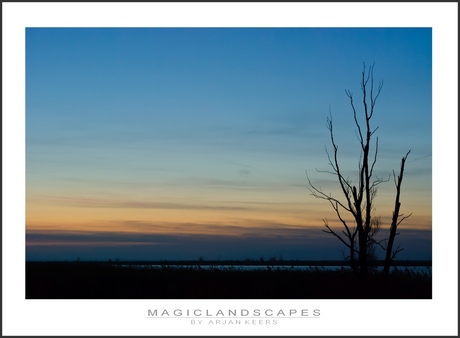 oostvaardersplassen