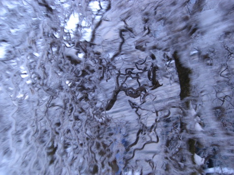 snow tree movement