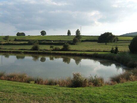 Dagje in Bourgogne