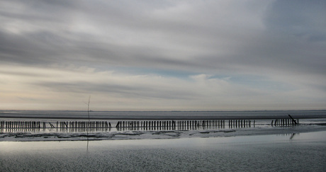 Ameland Waddenstilte