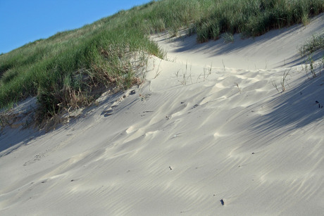 Duinen