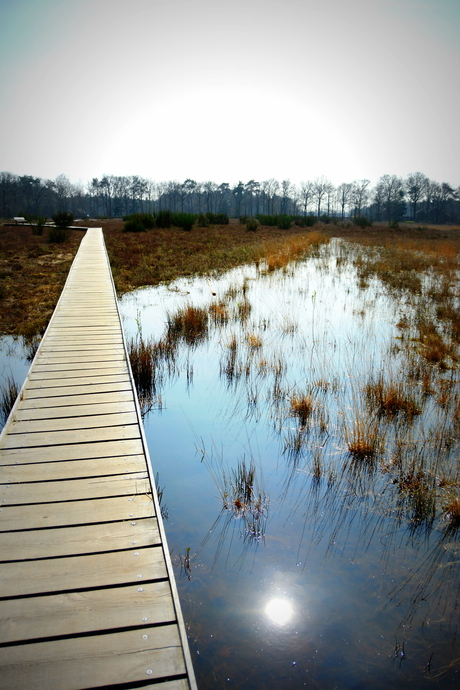 vlonderpad Mastbos Breda