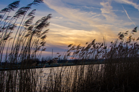 Mooie zonsondergang in Kinderdijk