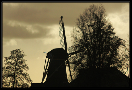 Molen in de hoekschewaard