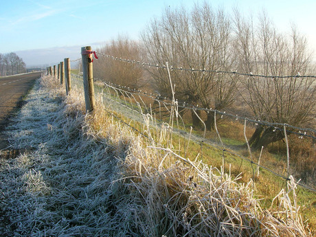 Rijndijk