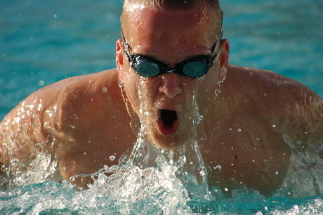 pieter vd meulenberg