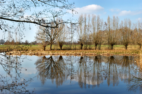 Vroege voorjaar