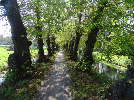 het Kersendijkje in Vaassen