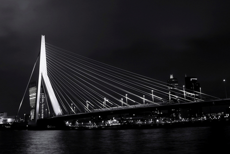 Rotterdam by night