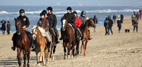 heerlijke rijdag op het strand van zandvoort