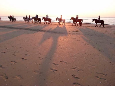 Paardrijden op het strand