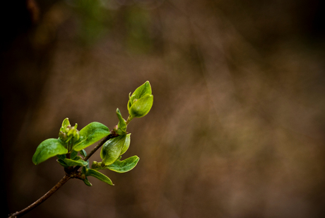 De lente is daar!!