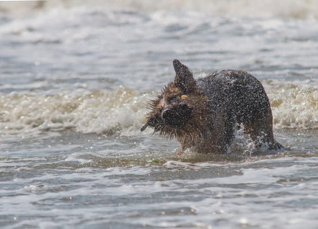 even het zand er af spoelen.