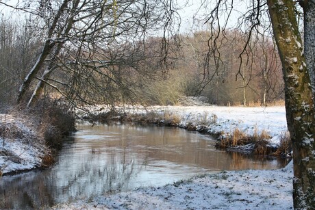 dommel in de sneeuw