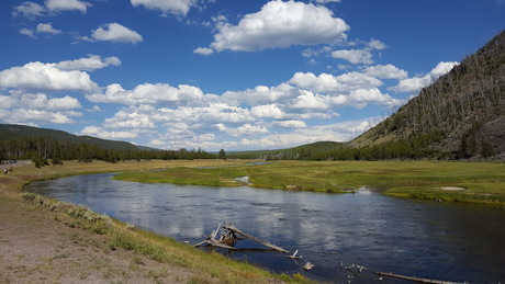 Yellow Stone National Park