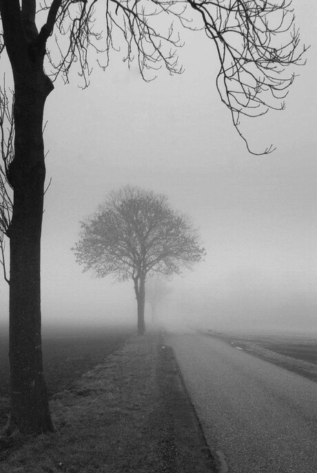 mist in Groningen