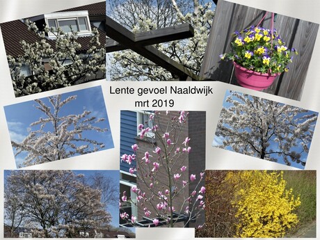 collage Lente gevoel Naaldwijk mrt 2019 nr2