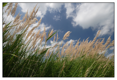 Lovely skies