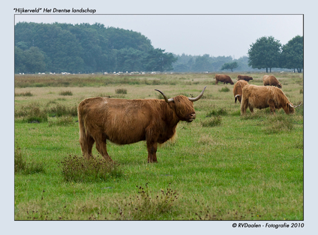 "Hijkerveld" Het Drentse Landschap