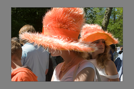 Vondelpark tijdens Koninginnedag