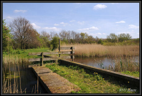 Lente in Kromslootpark