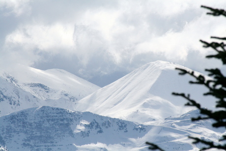 Winters landschap