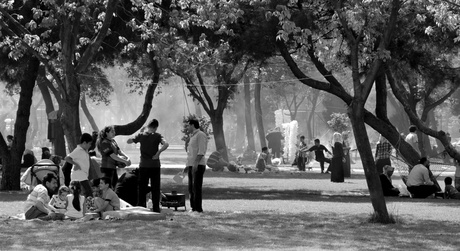 Dejeuner sur l'herbe