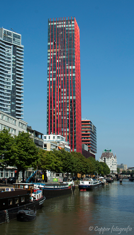 Red Apple - Rotterdam