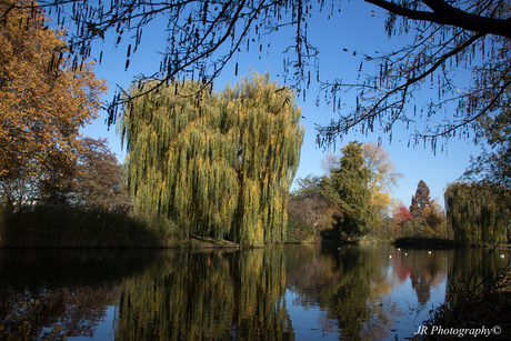 Herfst