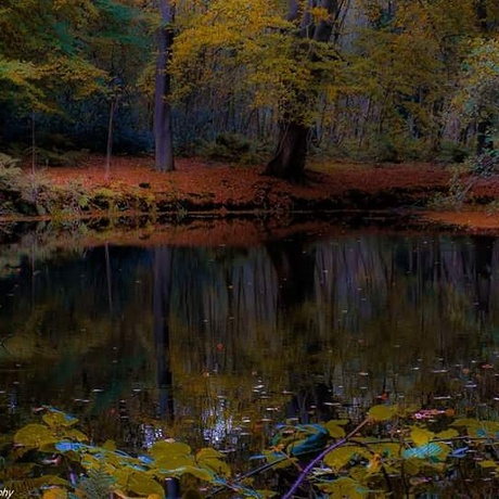 IMG_20171024_174552_206