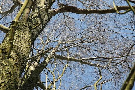 De lente is op komst