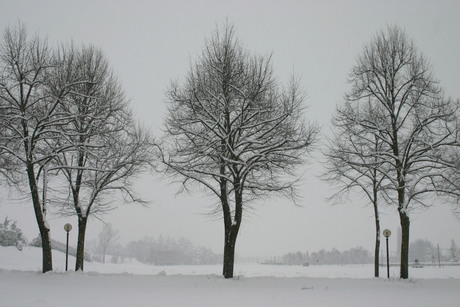 Een onverwachte sneeuwdag in Italië