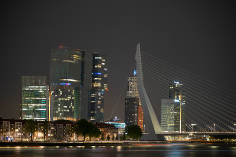 Erasmusbridge by night