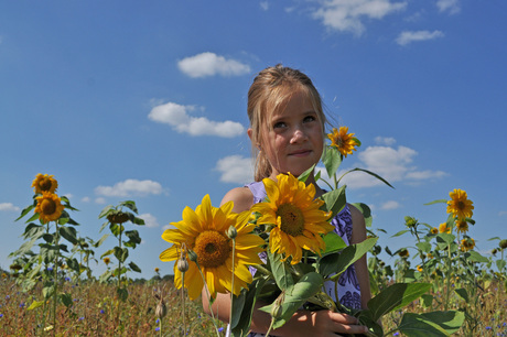 zonnige zonnebloem