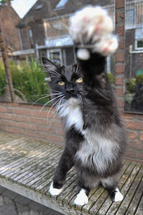 Hi five!!!