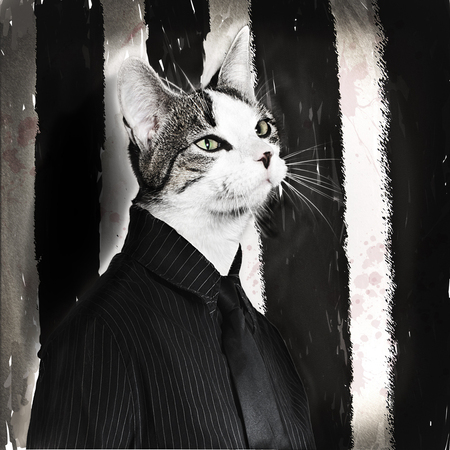 the apprentice - project - foto door truedee op 21-02-2013 - deze foto bevat: foto, raar, wit, kitten, geel, gele, zwart, anders, net, oog, kat, dier, kunst, ogen, art, mens, beest, shoot, stijl, apart, vacht, maffia, chick, strepen, tekenen, half, gangster, leerling, fur, officieel, morf, antropomorf
