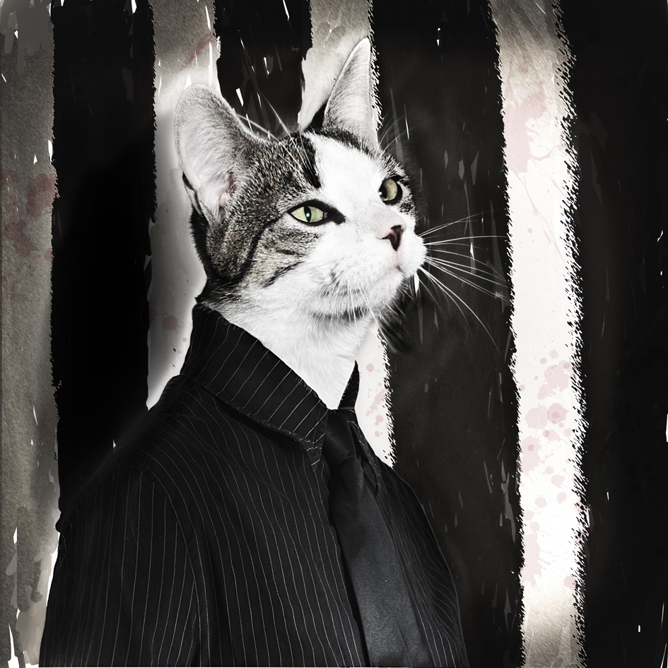 the apprentice - project - foto door truedee op 21-02-2013 - deze foto bevat: foto, raar, wit, kitten, geel, gele, zwart, anders, net, oog, kat, dier, kunst, ogen, art, mens, beest, shoot, stijl, apart, vacht, maffia, chick, strepen, tekenen, half, gangster, leerling, fur, officieel, morf, antropomorf