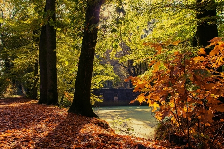 Verborgen ruine