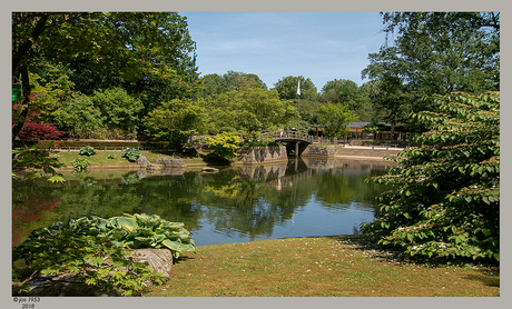 Japanse Tuin in Hasselt 3