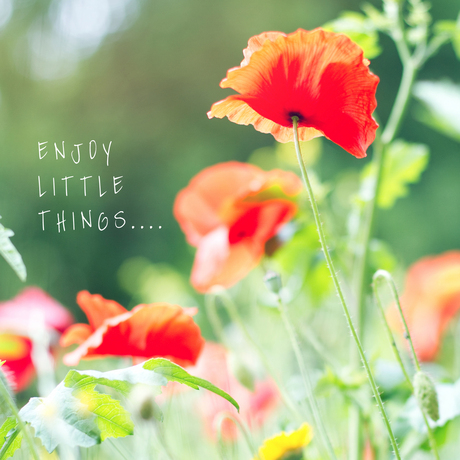 Enjoy little things....