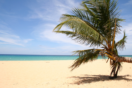 Playa Grande, Dom. Republiek