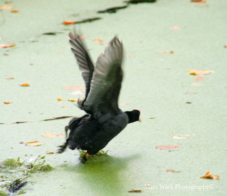 Ready for take-off