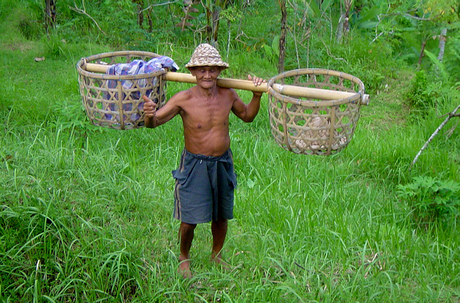 Balinese veldwerker